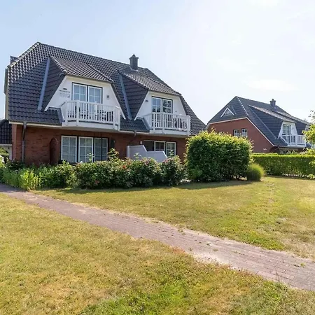 Strandlaeufer